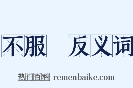 不服輸反义词是什么意思的图片